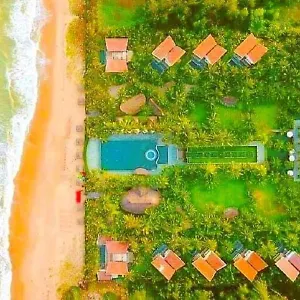 Sonata Y Phan Thiet